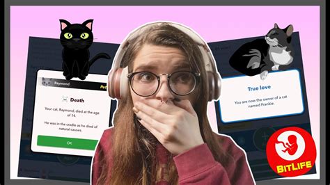 I ADOPTED 66 CATS IN BITLIFE! **CAT LADY .